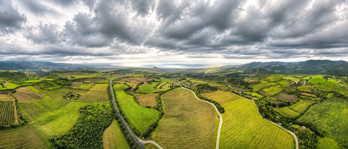 Panorama aereo del cru Badde Nigolosu: vigne e oliveti sulle colline della Romangia sotto un cielo nuvoloso.